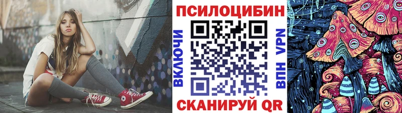Галлюциногенные грибы прущие грибы  Гаврилов-Ям 